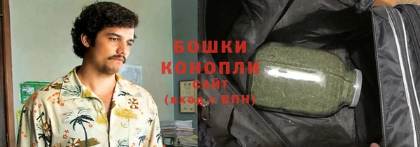 2c-b Ельня