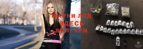 молекула духа Елизово
