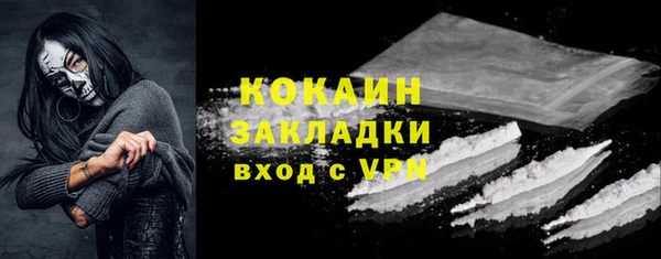 2c-b Ельня