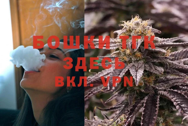 2c-b Ельня