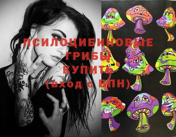2c-b Ельня