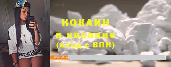 молекула духа Елизово