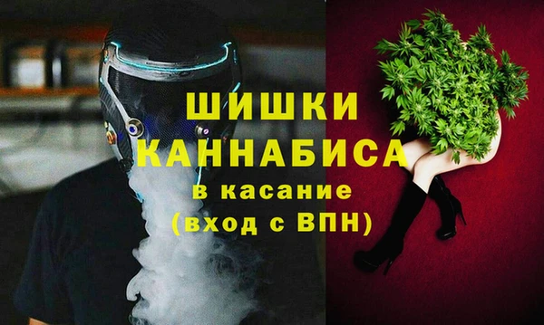 молекула духа Елизово