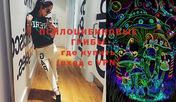 твердый Заводоуковск