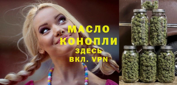 2c-b Ельня