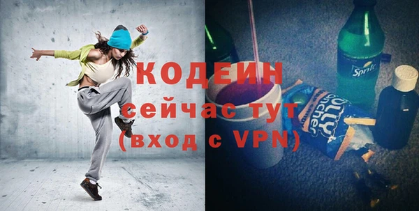 молекула духа Елизово