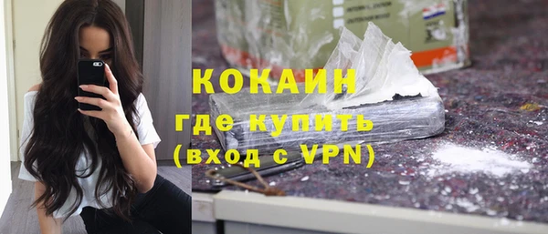 молекула духа Елизово