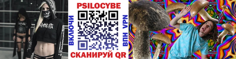 Купить закладки  Саки  Галлюциногенные грибы Psilocybe 